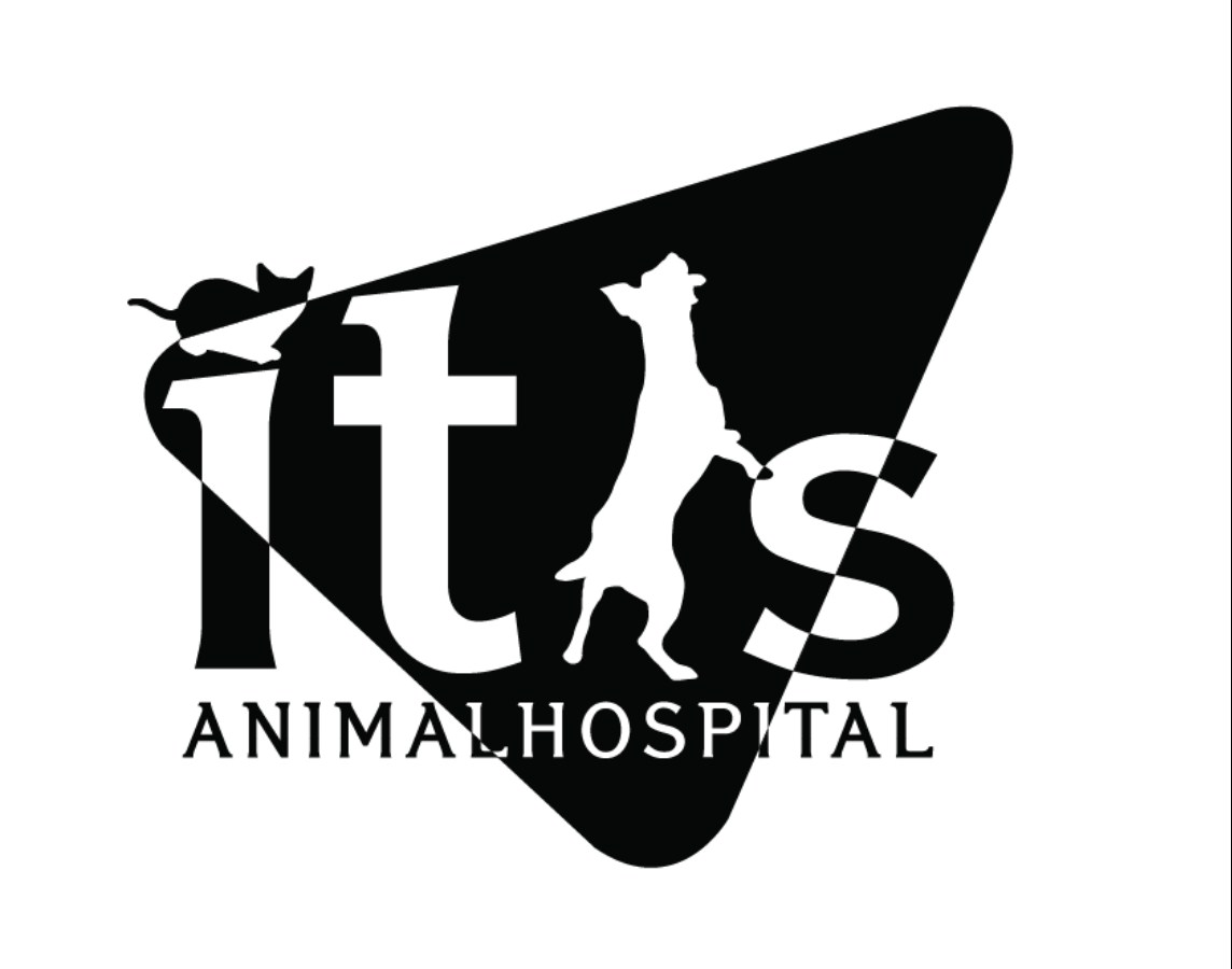 NaverBlog profile picture for @vets